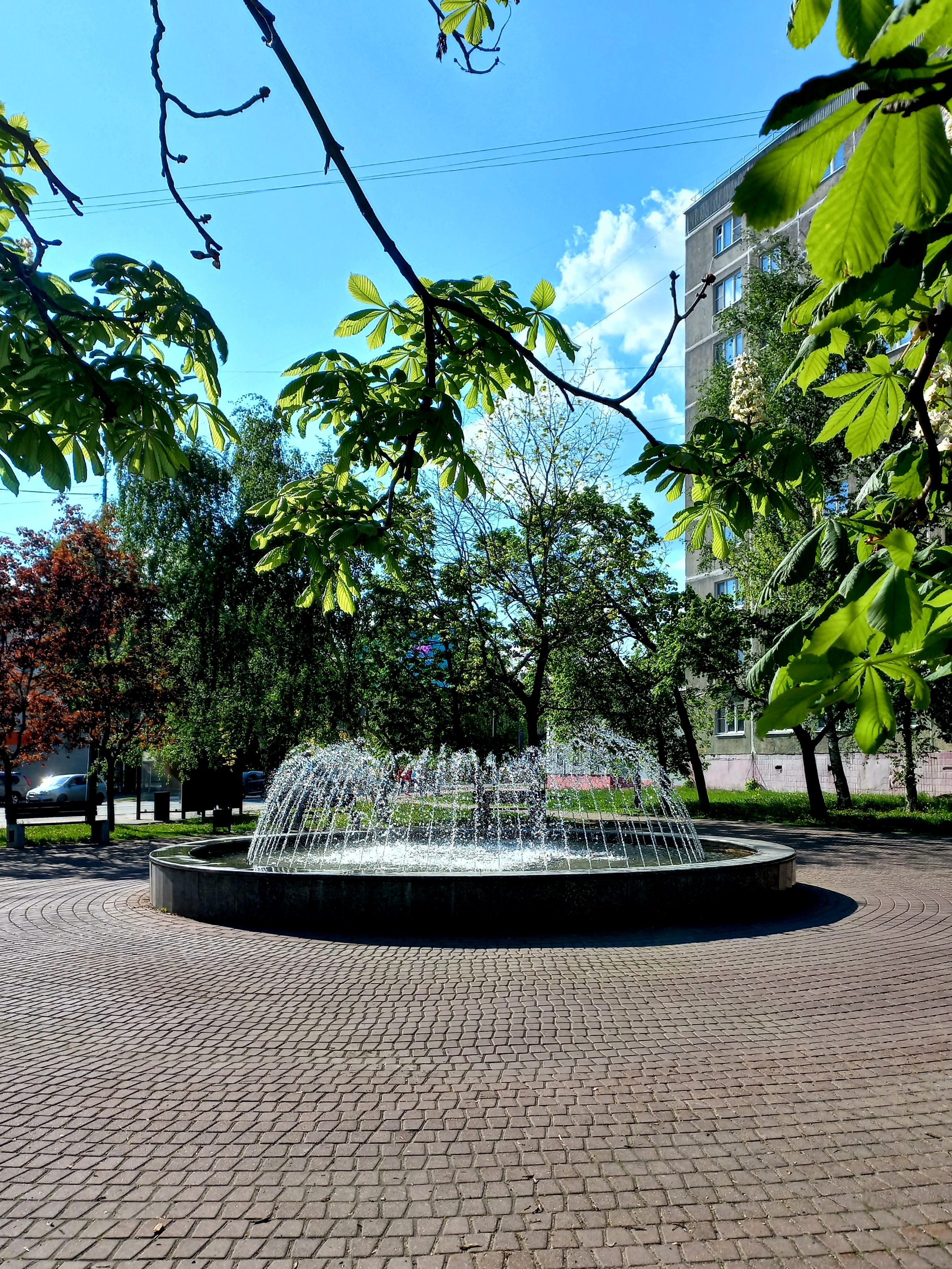 1000073478.jpg