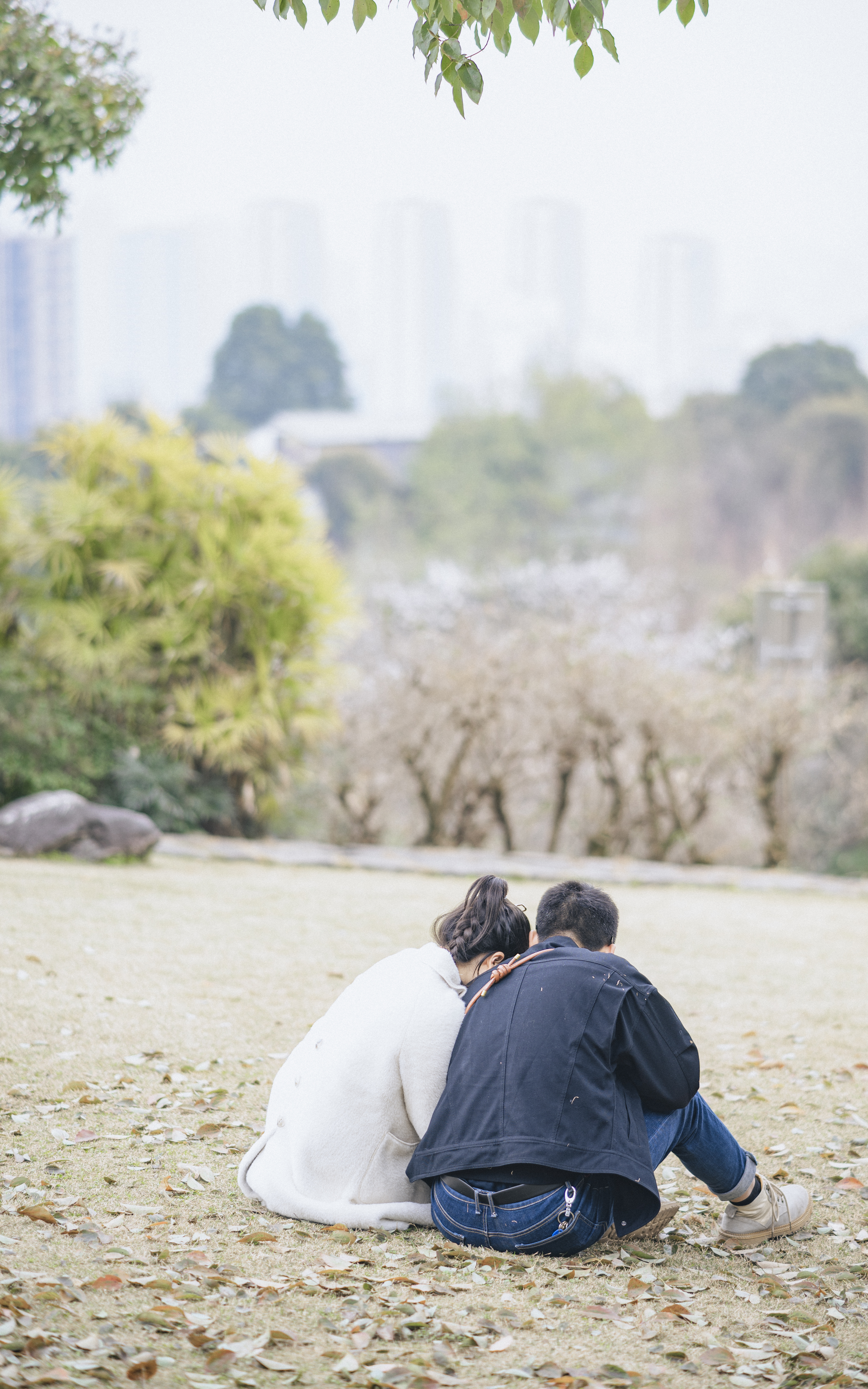 DSC_7988 拷贝.jpg