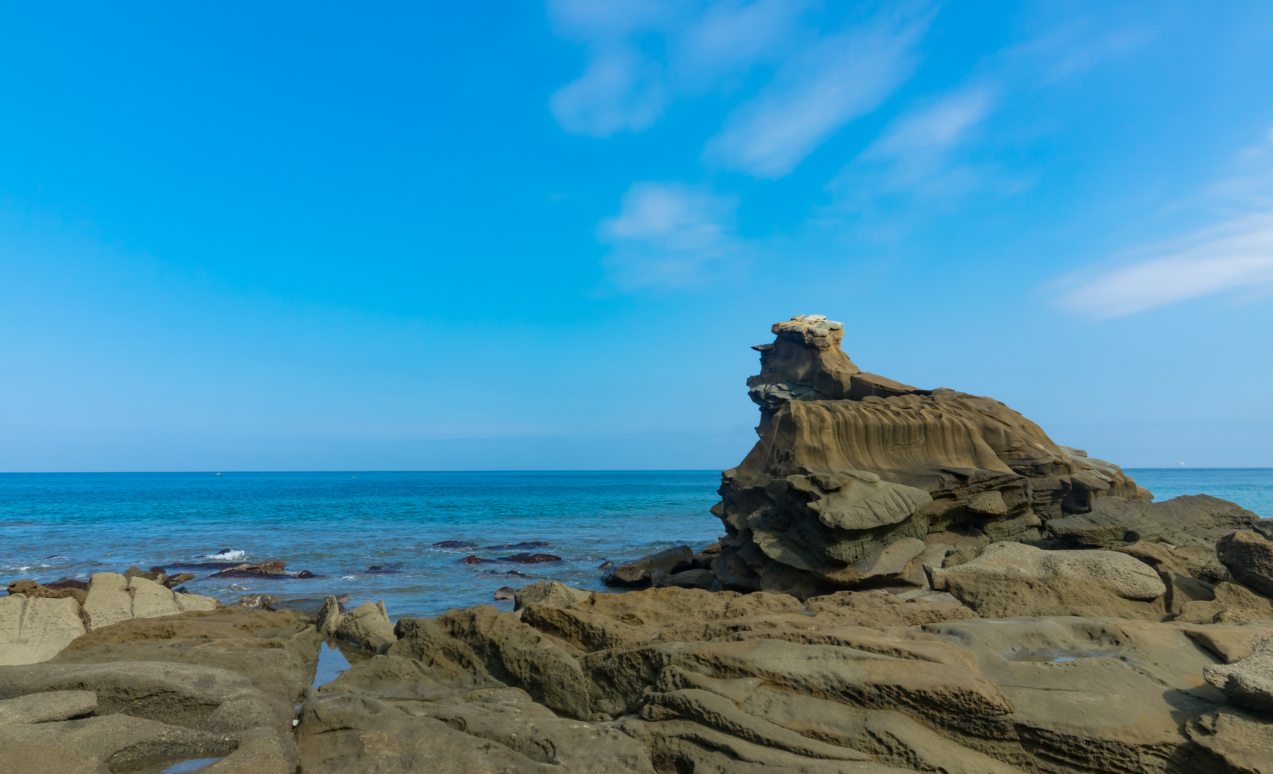 RX_09428.jpg