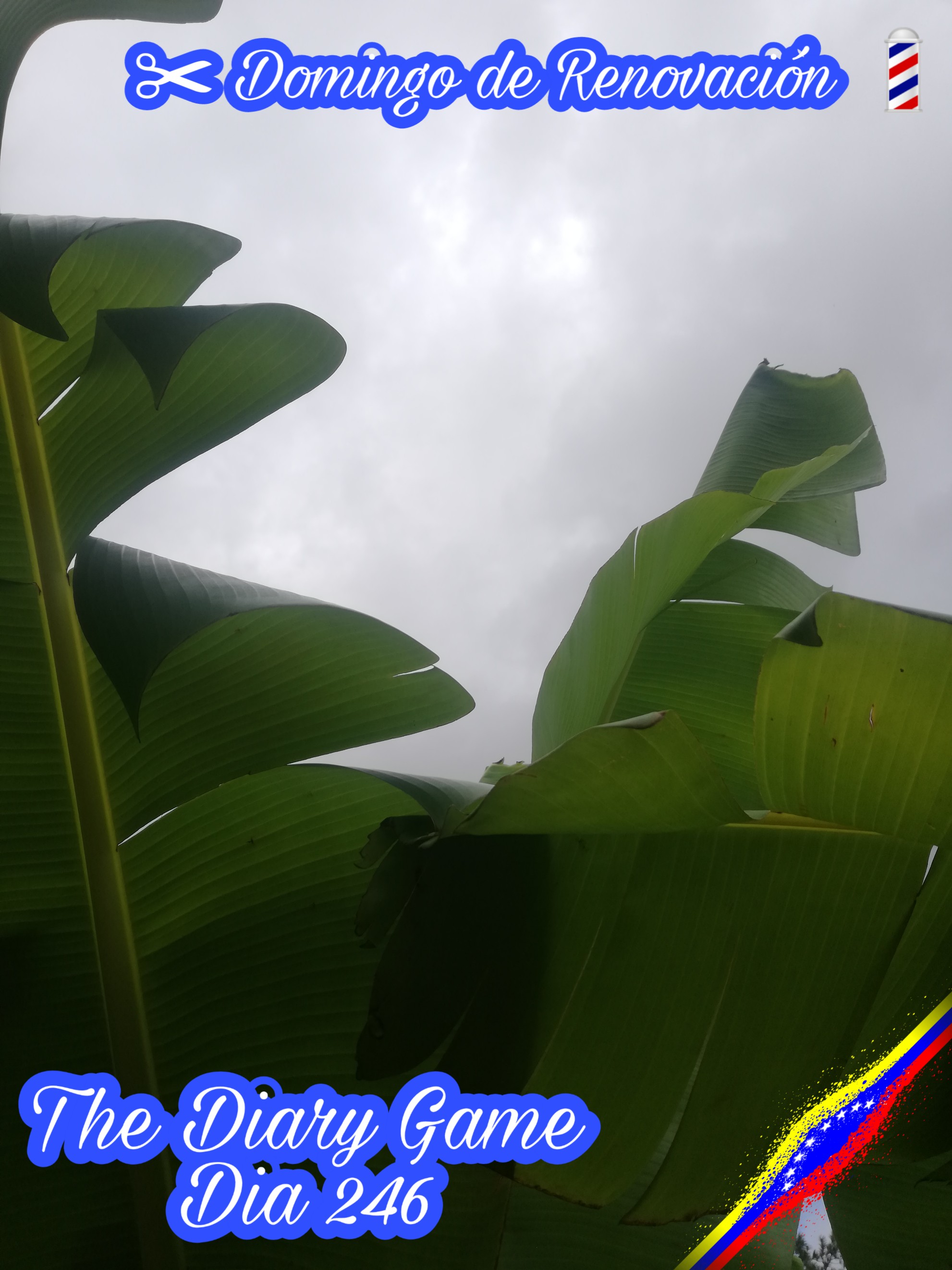 PicsArt_05-30-08.18.56.jpg