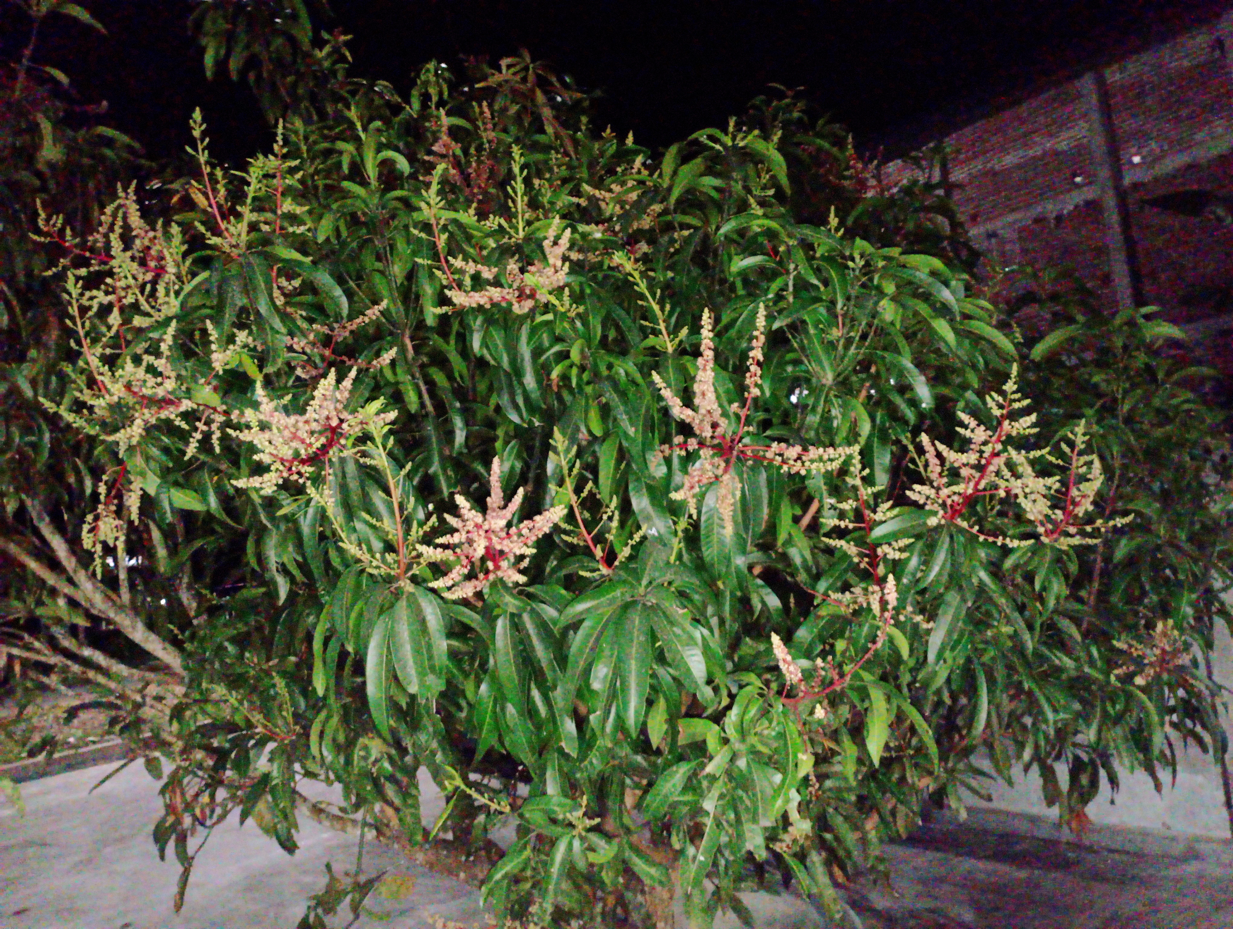 IMG_20220210_224252.jpg