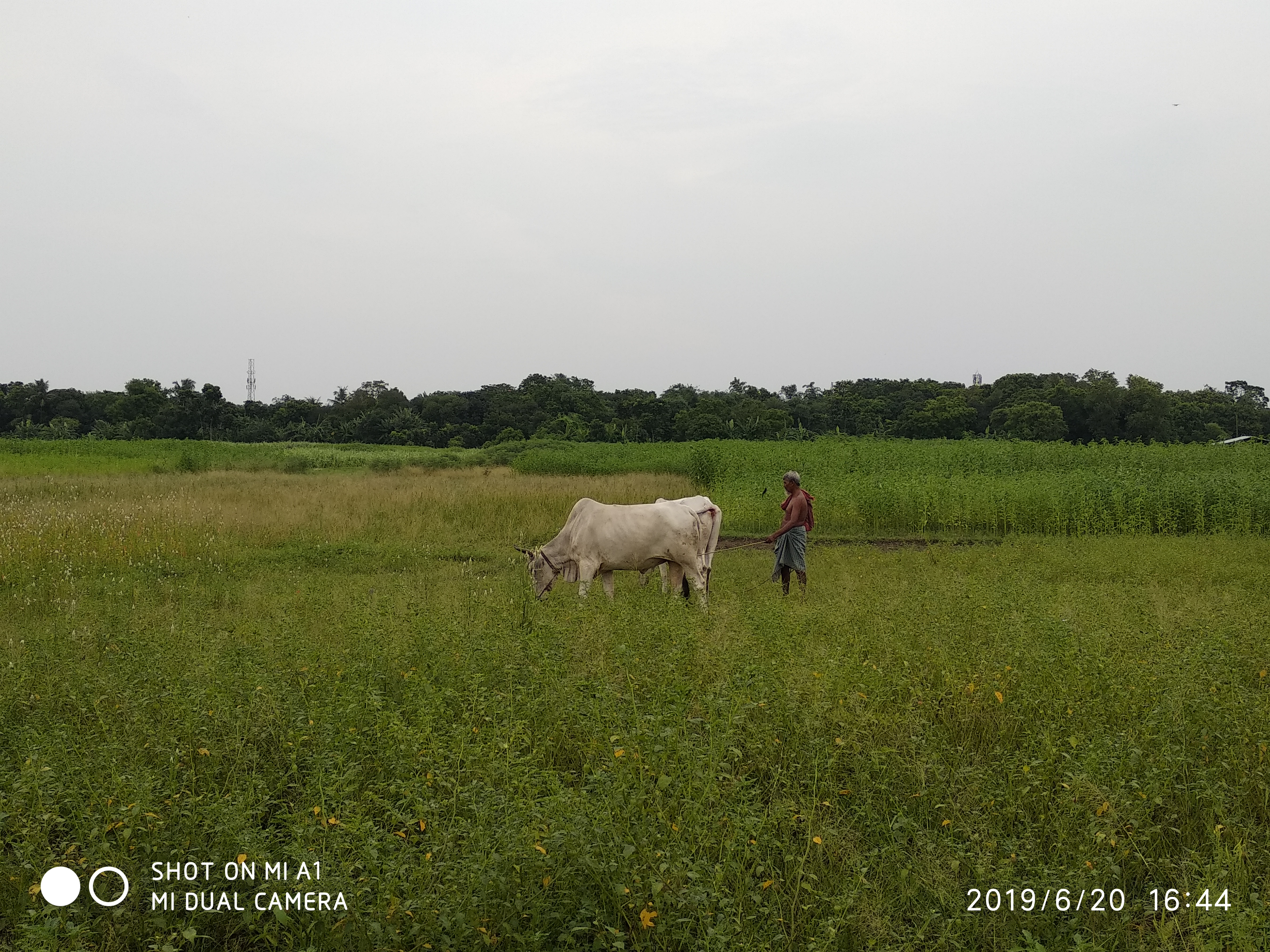 IMG_20190620_164440.jpg
