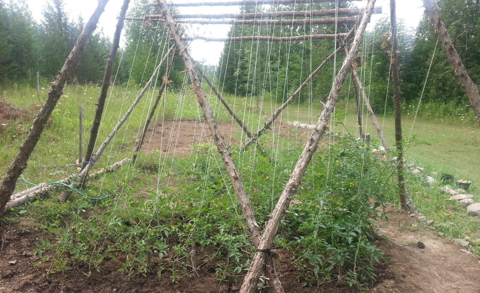 lowergarden.jpg