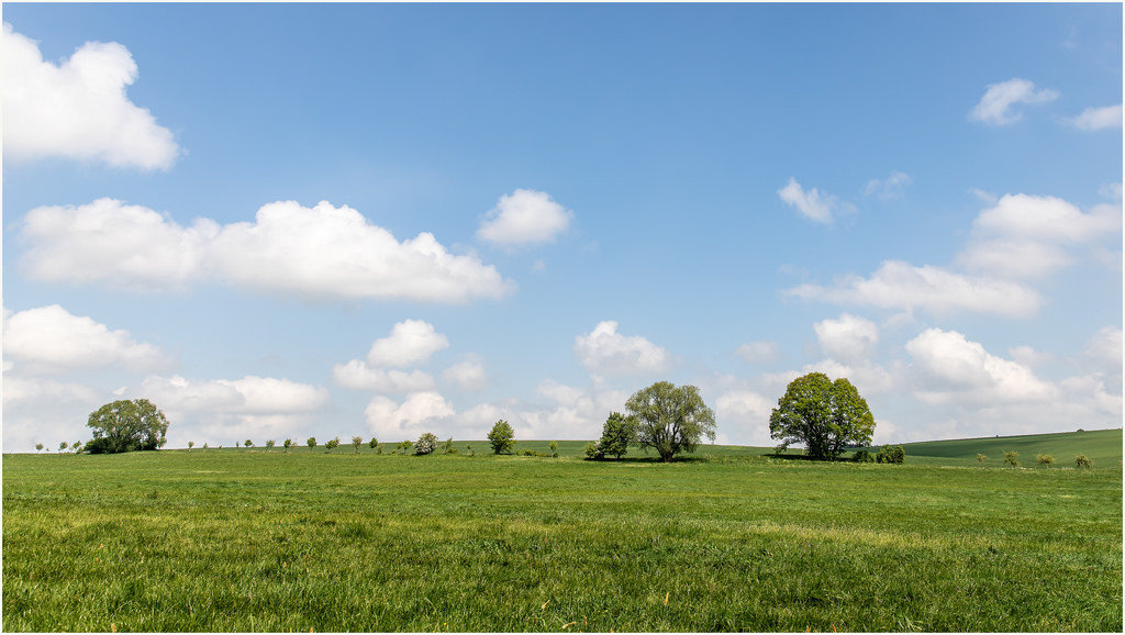 40361993100-etzelsbach-eichsfeld (FILEminimizer).jpg