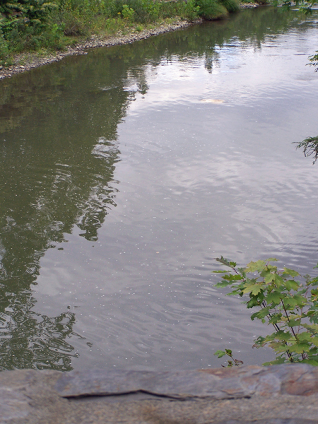 Green River at the Pumping Station crop Sept.2019.jpg
