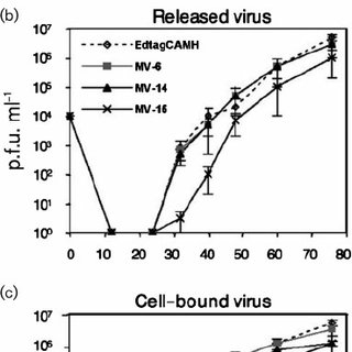 Schematic-representation-and-growth-analysis-of-the-new-recombinants-MV-14-and-MV-15-a_Q320.jpg