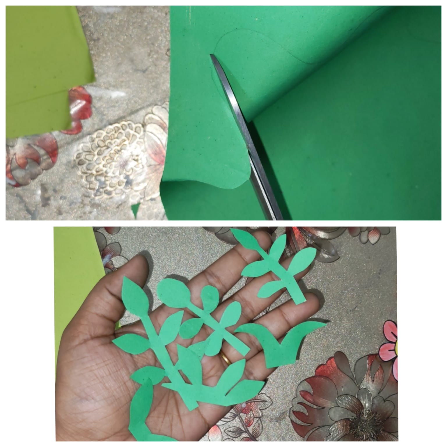 32066.jpg