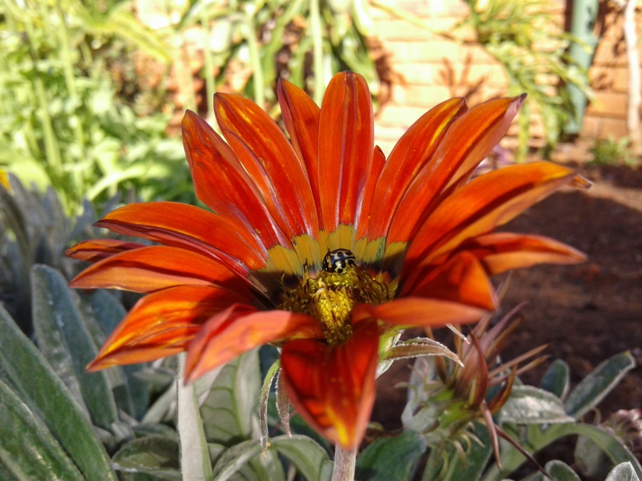 thumbnail_20180716_145135.jpg