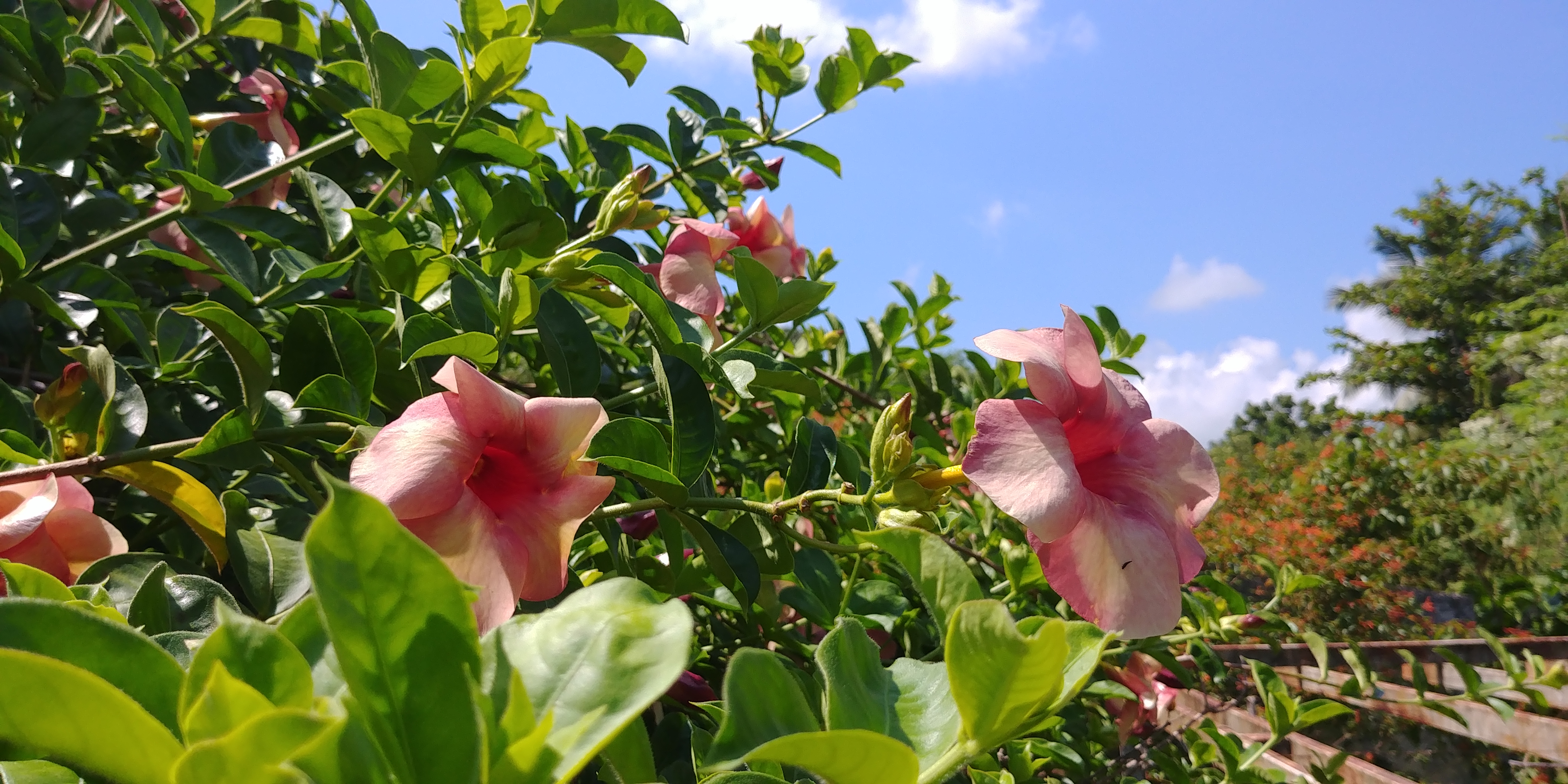 20180910_104515.jpg