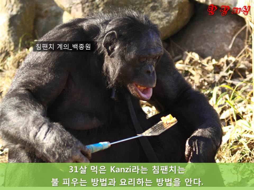 슬라이드60.JPG