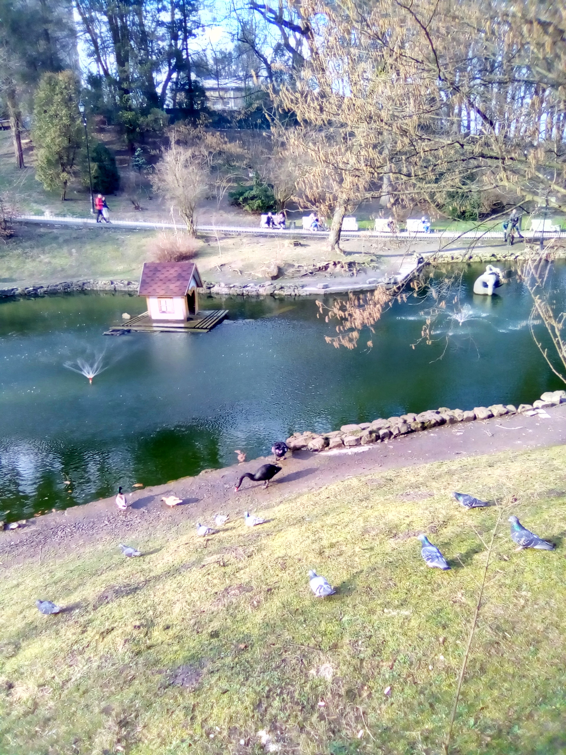 IMG_20200312_160730_7.jpg