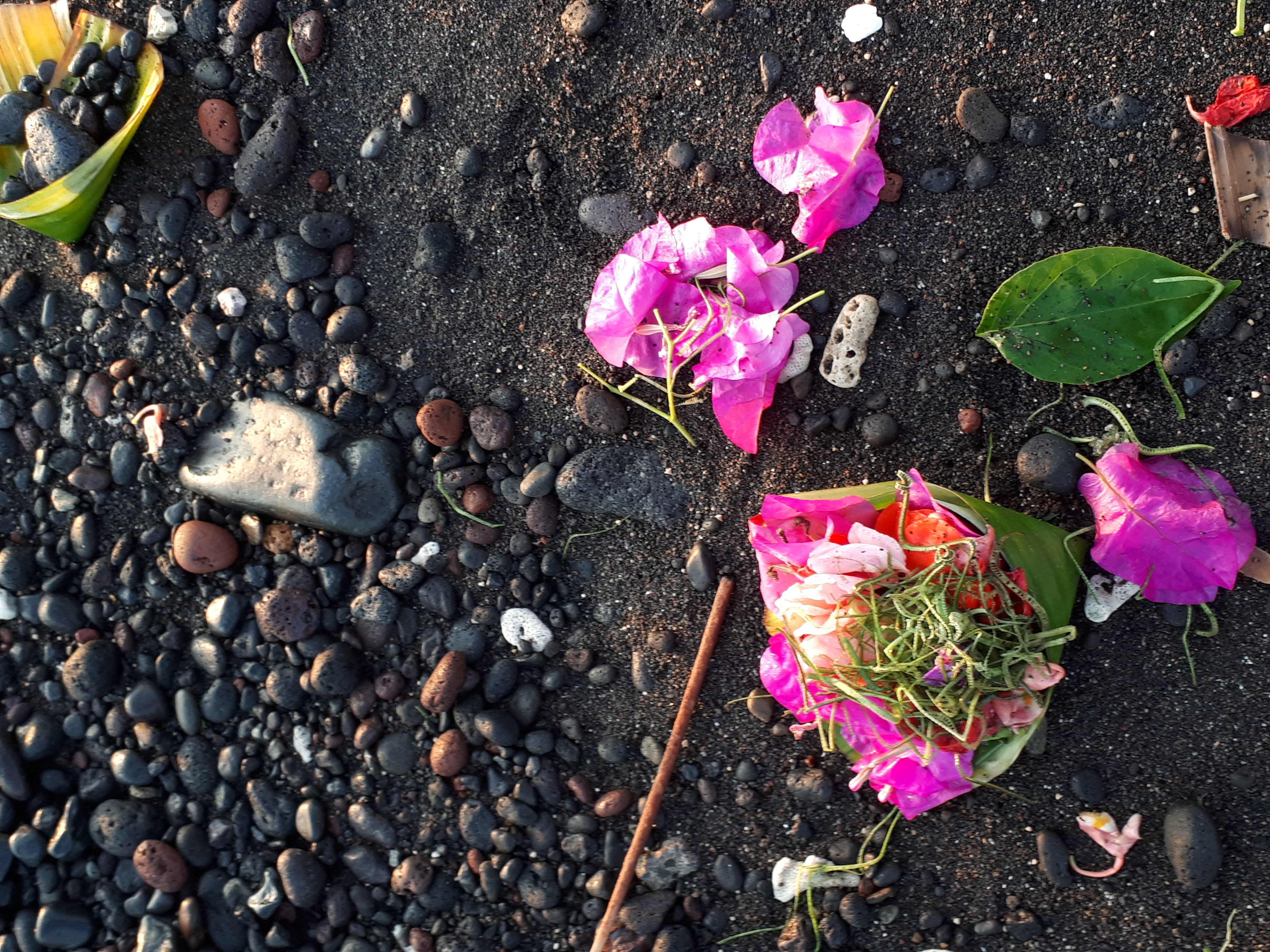 20180702_065324.jpg