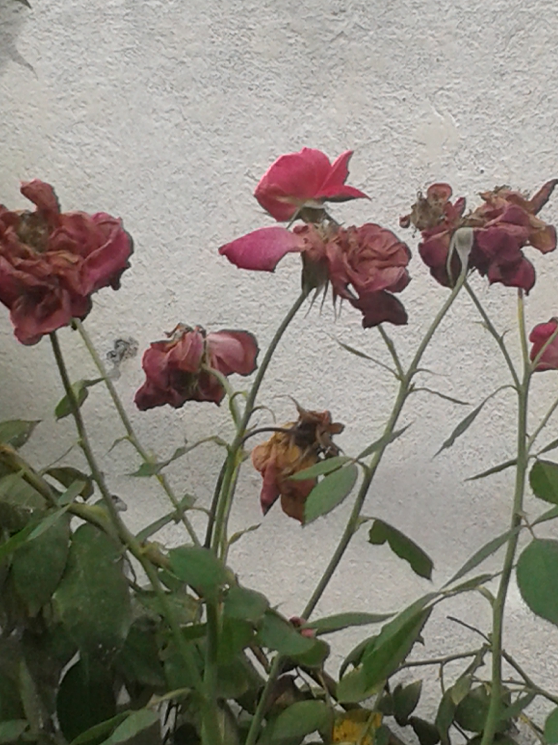20201101_145028.jpg