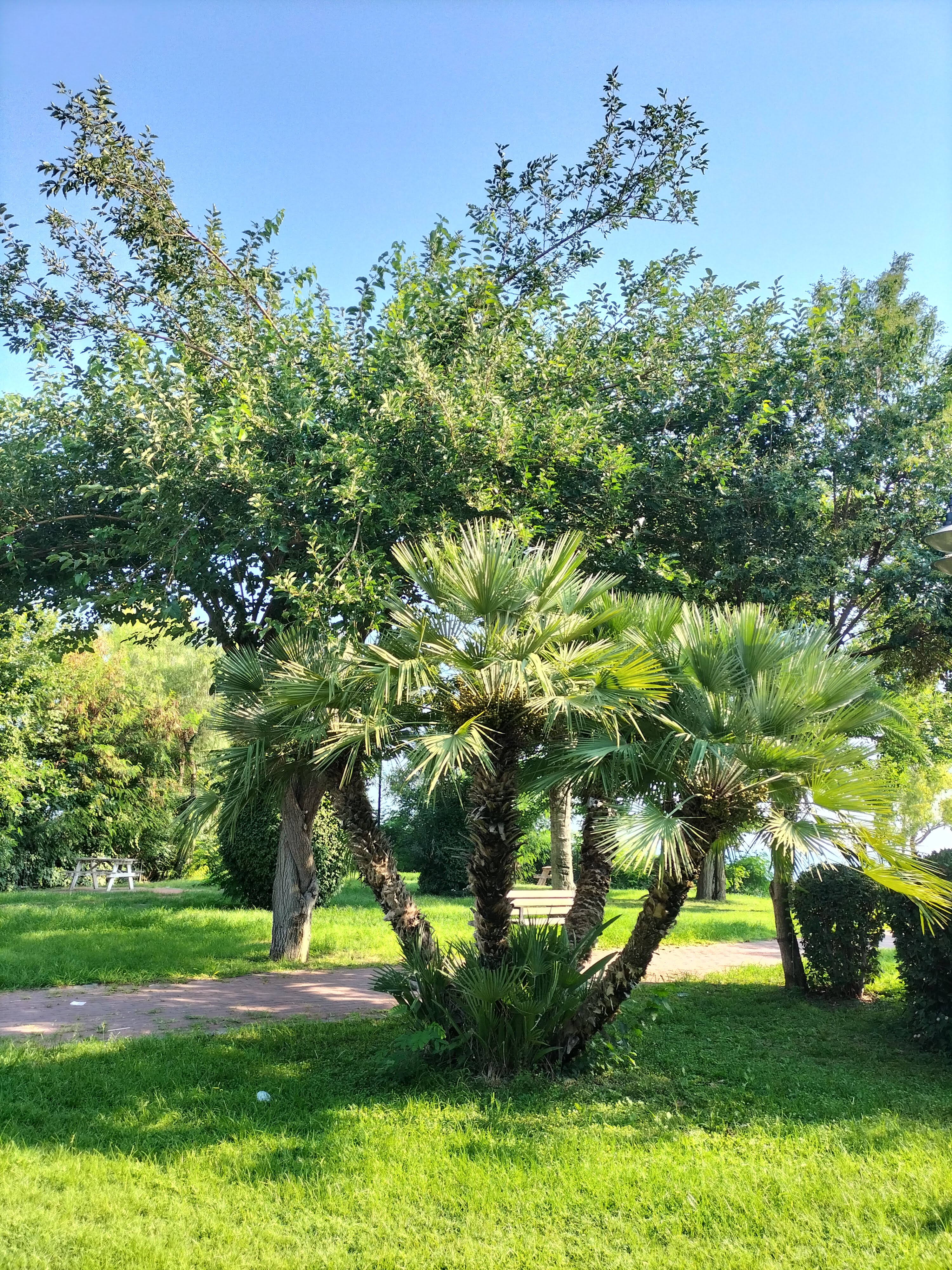 IMG20220814170214.jpg
