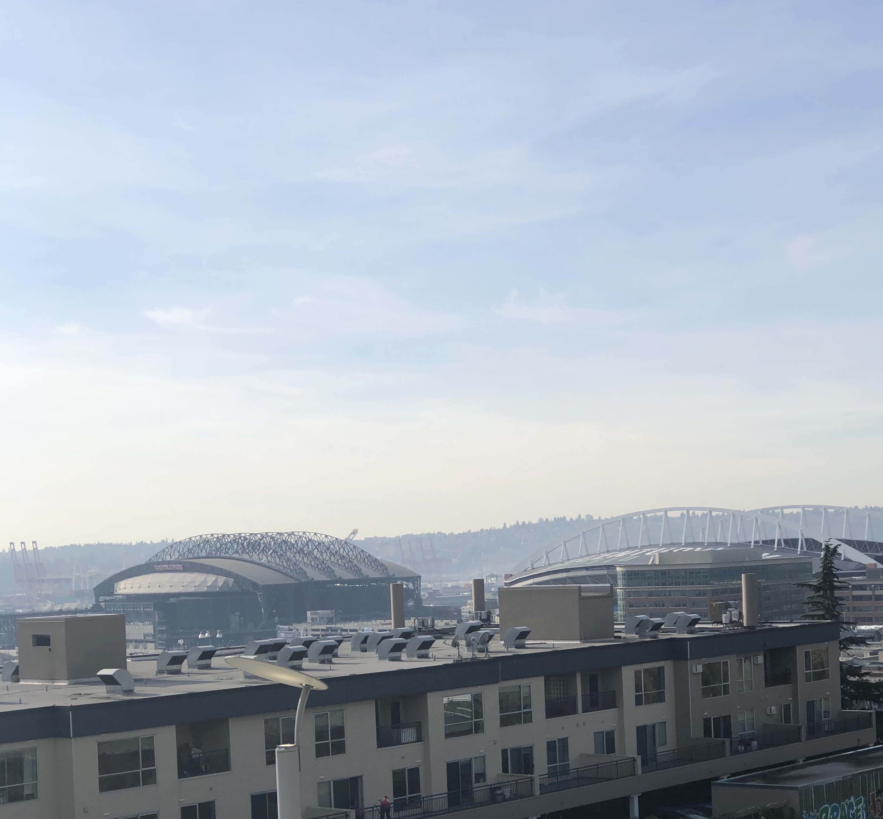 E6EB7139-BAA1-4D87-BBBF-9EFC60270177.jpeg