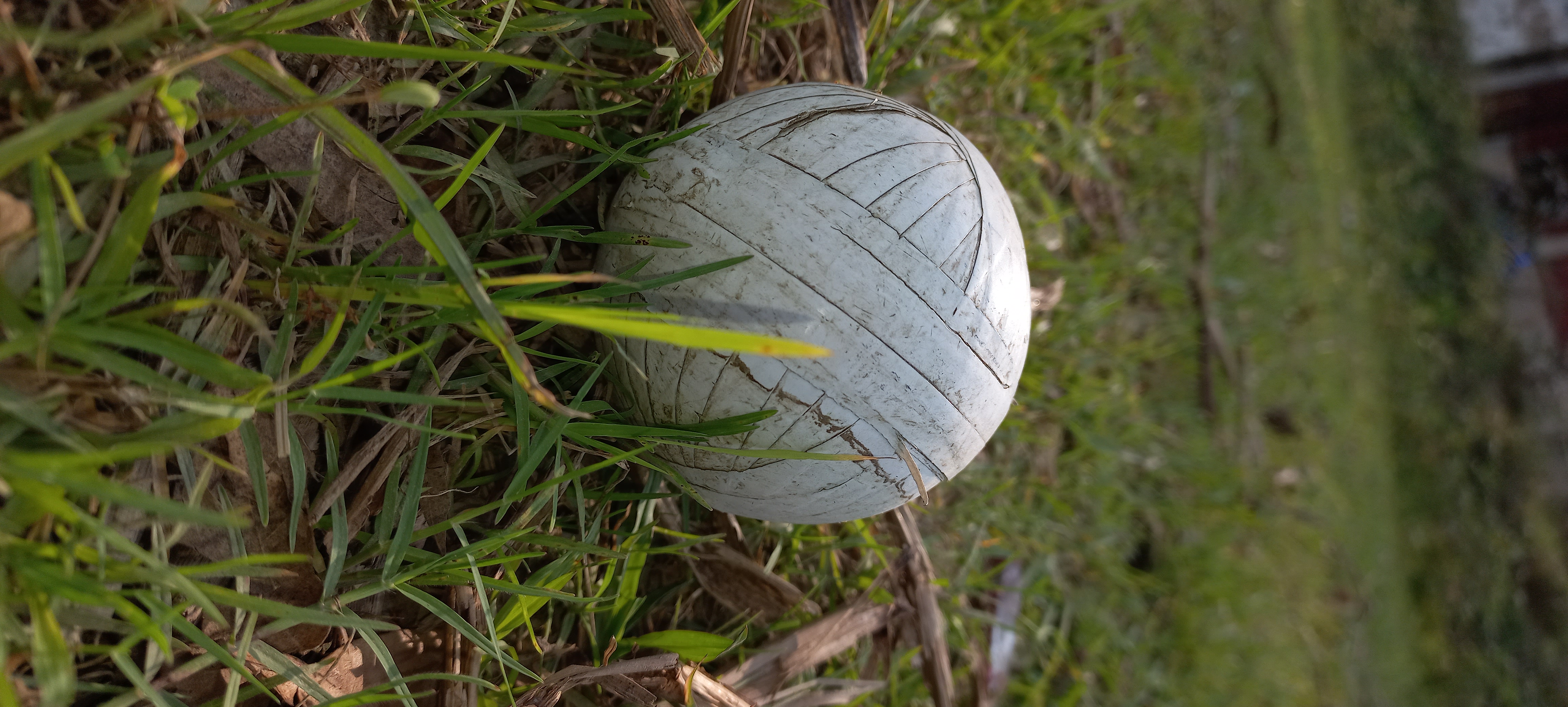 20220401_153910.jpg