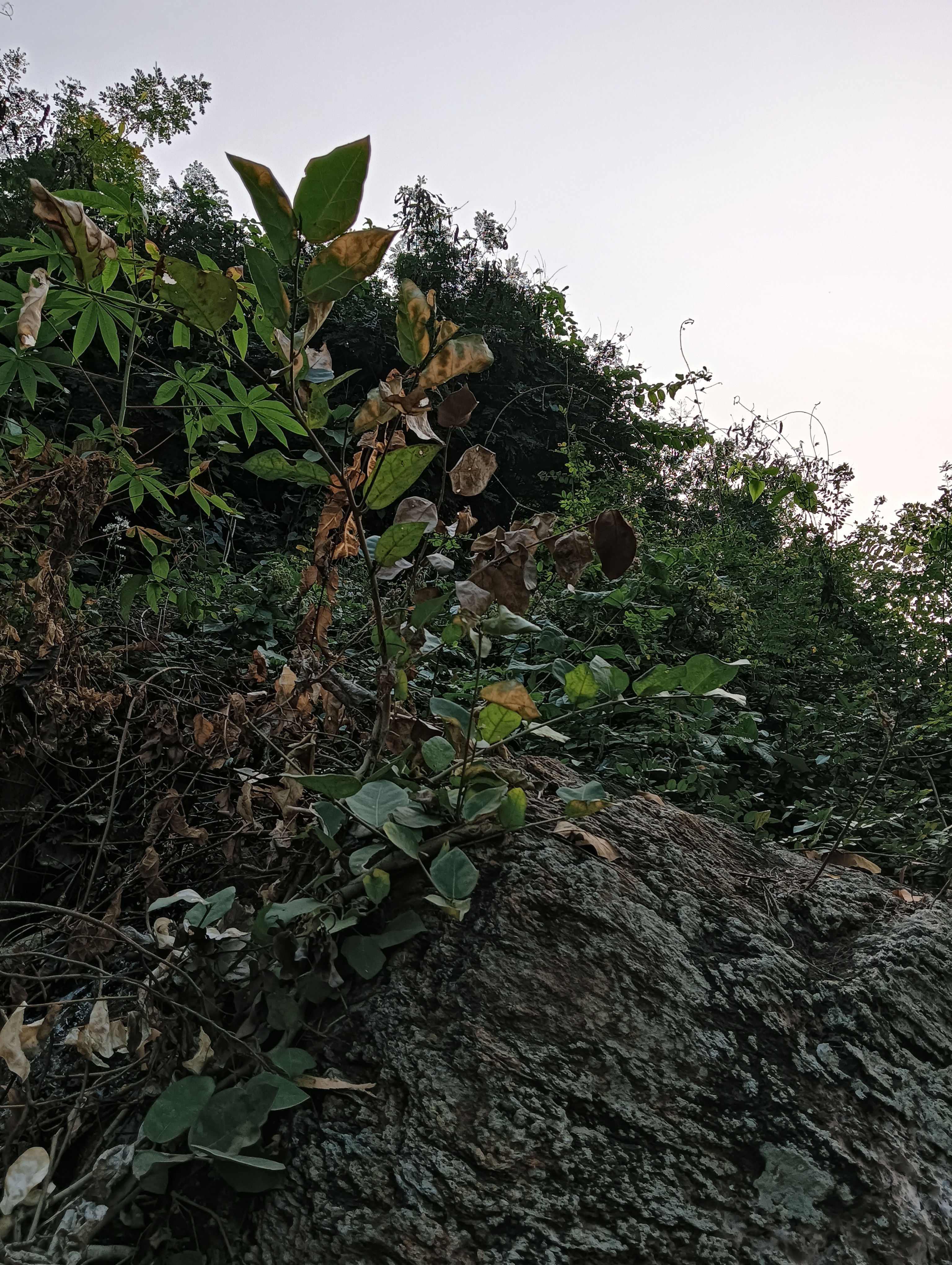 IMG20231231154039.jpg
