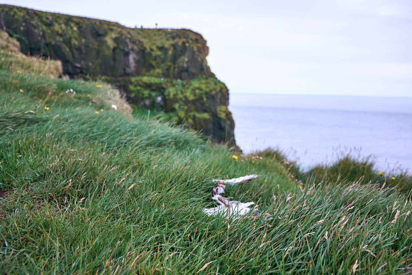DSCF4625.jpg
