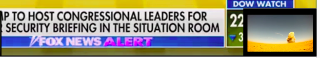 Screen Shot 2019-01-02 at 12.09.49 PM.png