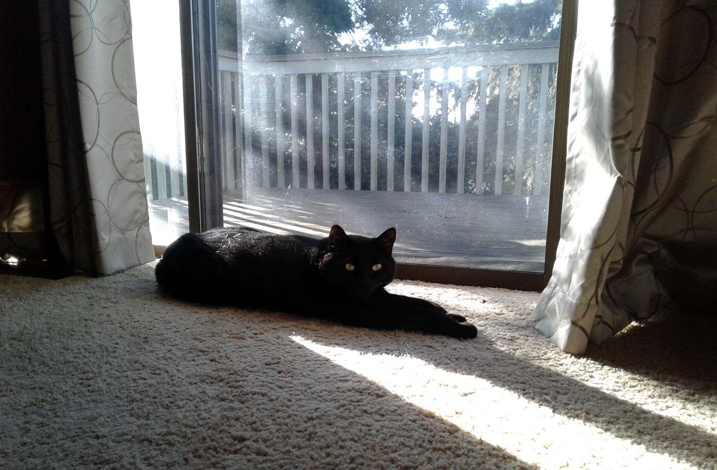 CC0188-InThe Sun.jpg