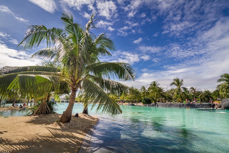 tropical.jpg