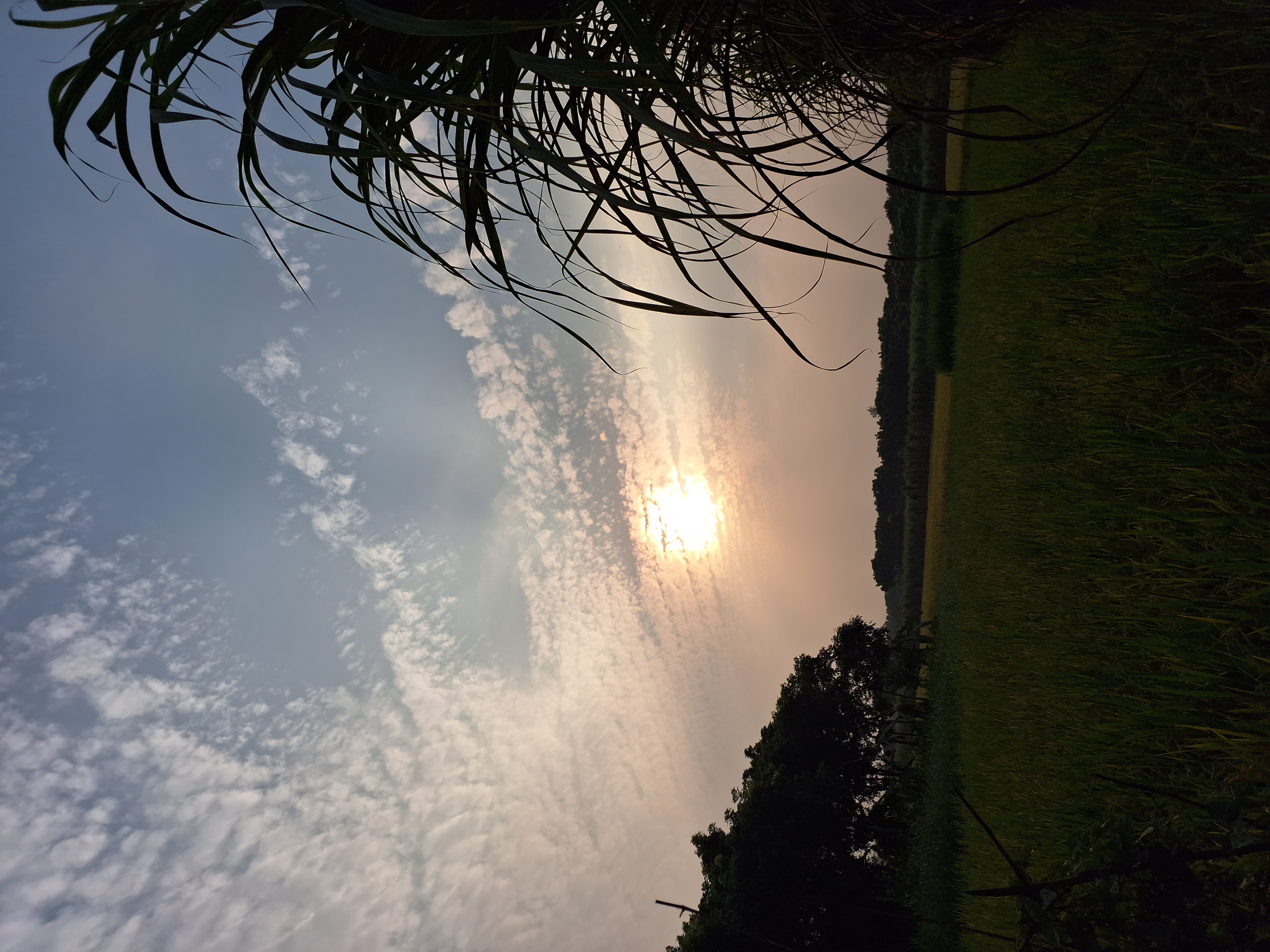 20231107_160740.jpg
