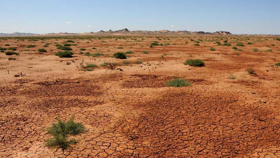 mongolia-831299_960_720.jpg