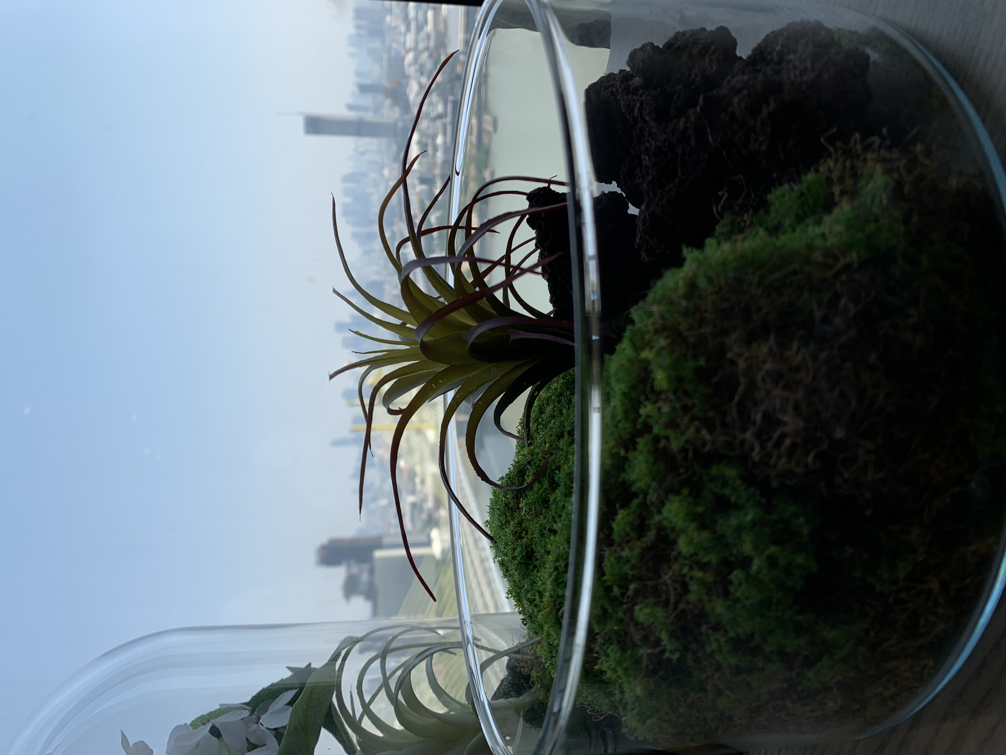 my brother’s condominium14.jpg