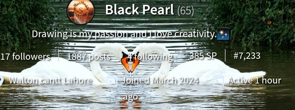 Screenshot_20250422-142913_Chrome.jpg