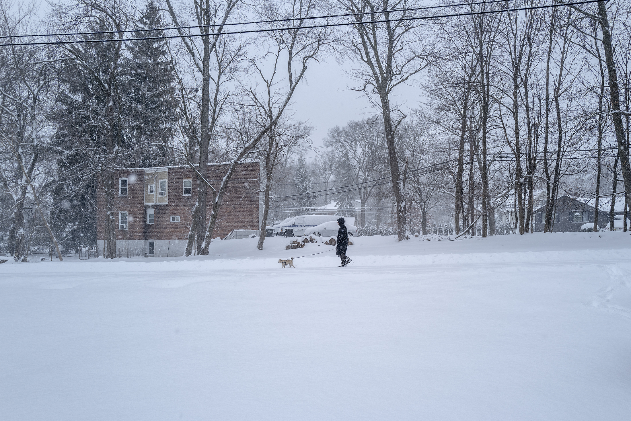 snow36.jpg