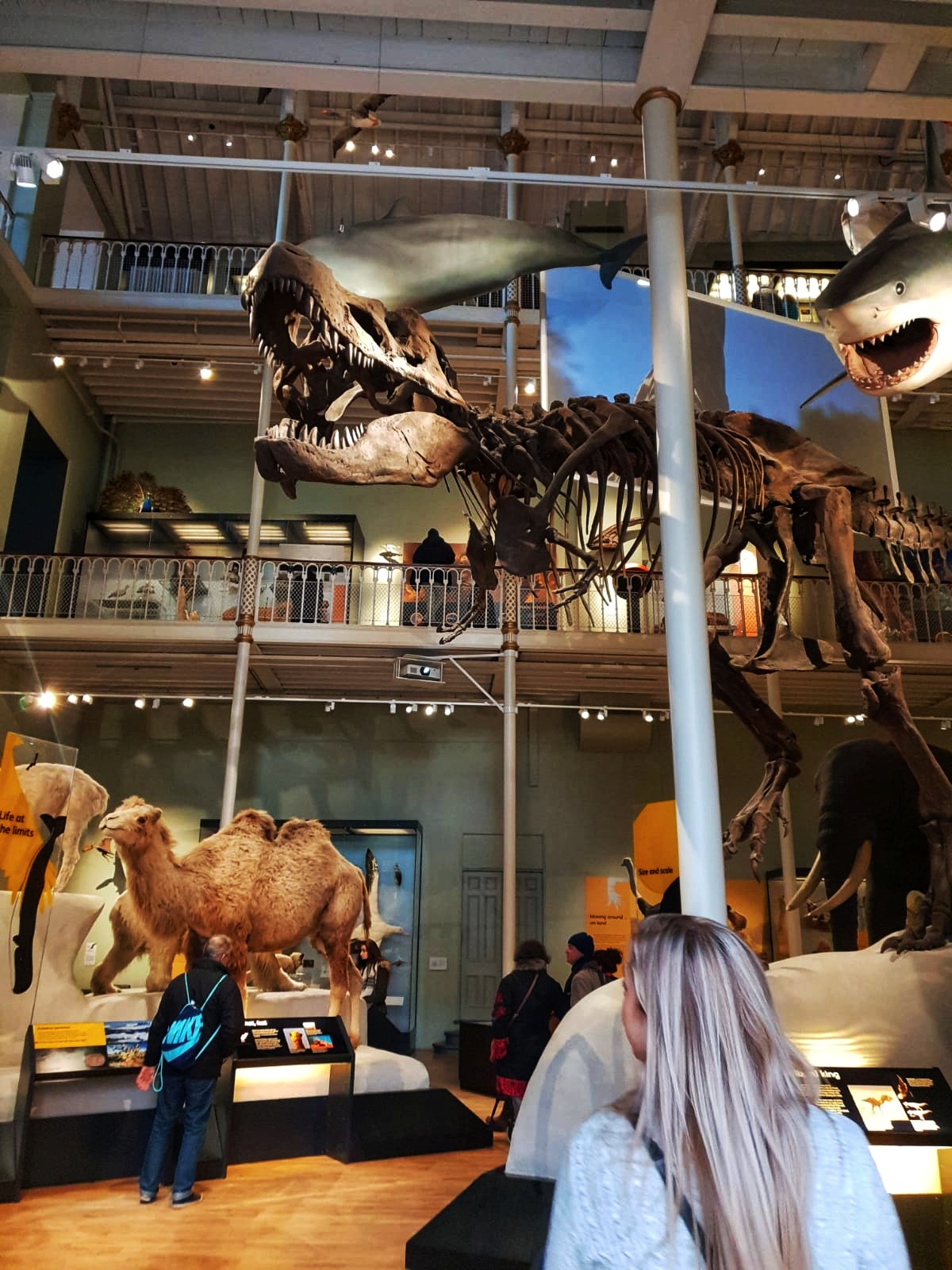 IMG-20190130-WA0207-01.jpeg
