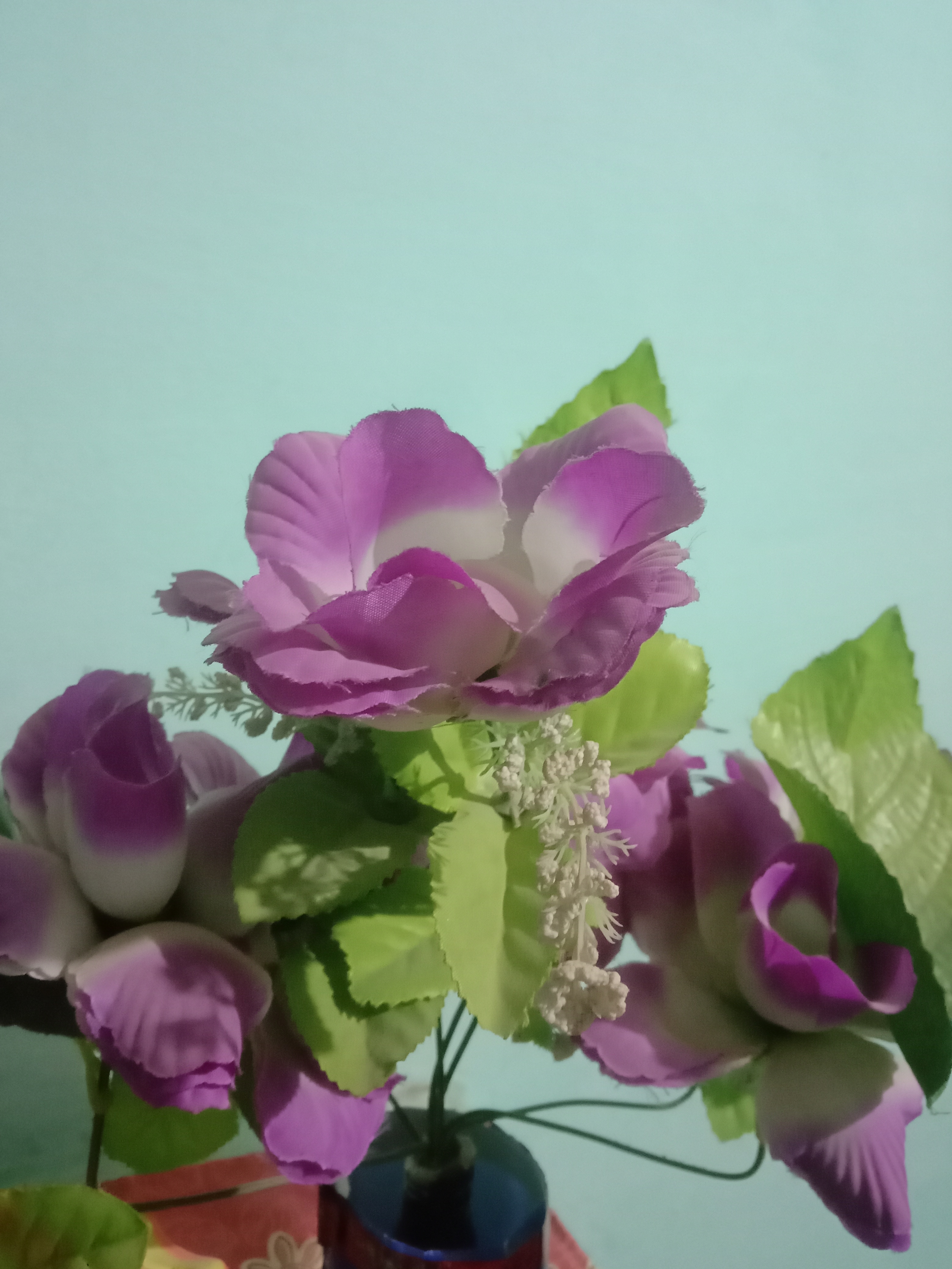 IMG_20211220_180041.jpg