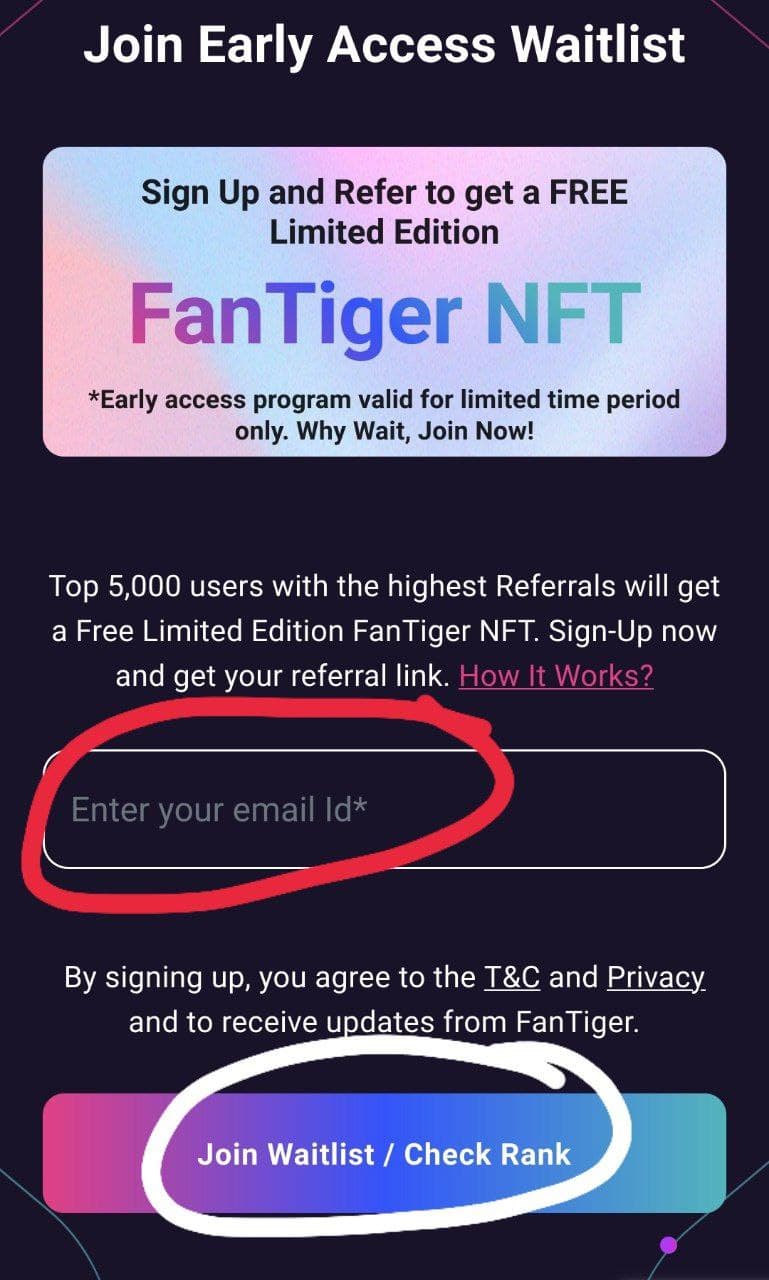 fantiger.jpg