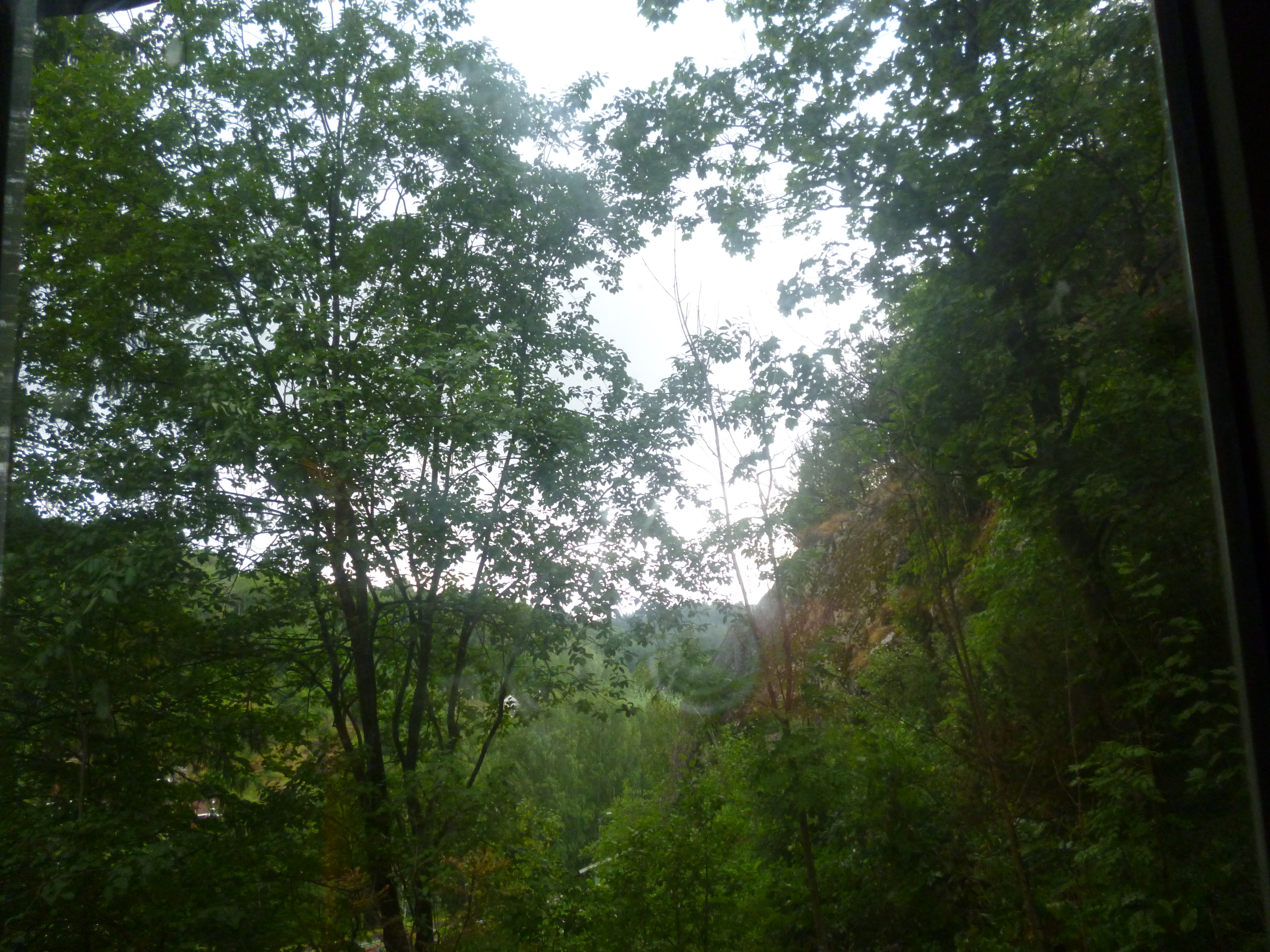 P1040167.JPG