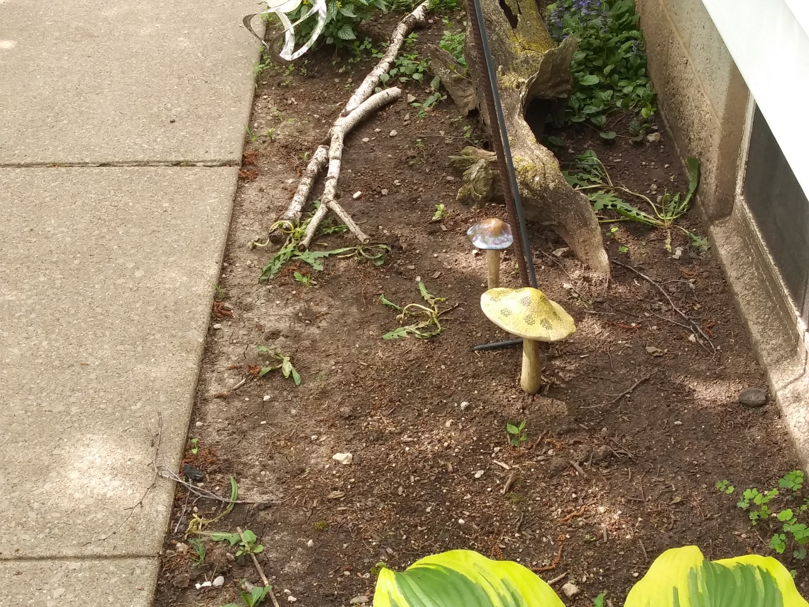20190526_100632.jpg