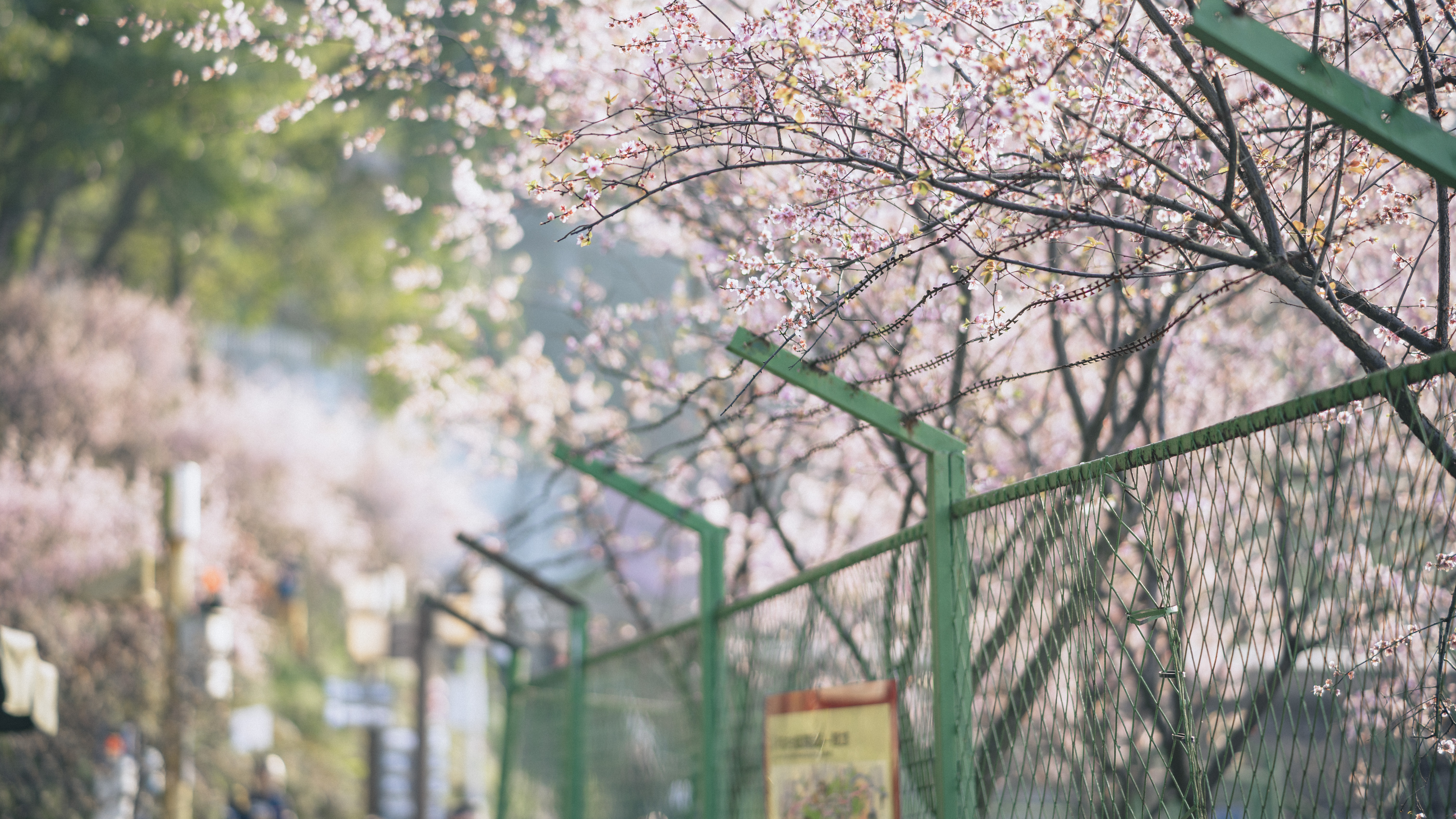 DSC_8021 拷贝.jpg