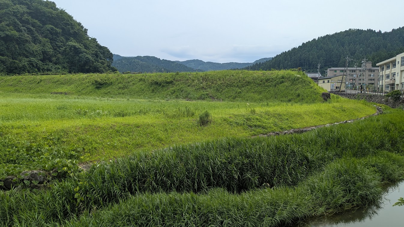 PXL_20260704_042152449.MP.jpg
