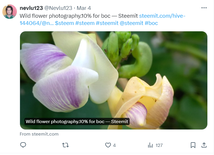 Screenshot 2024-03-07 155831.png