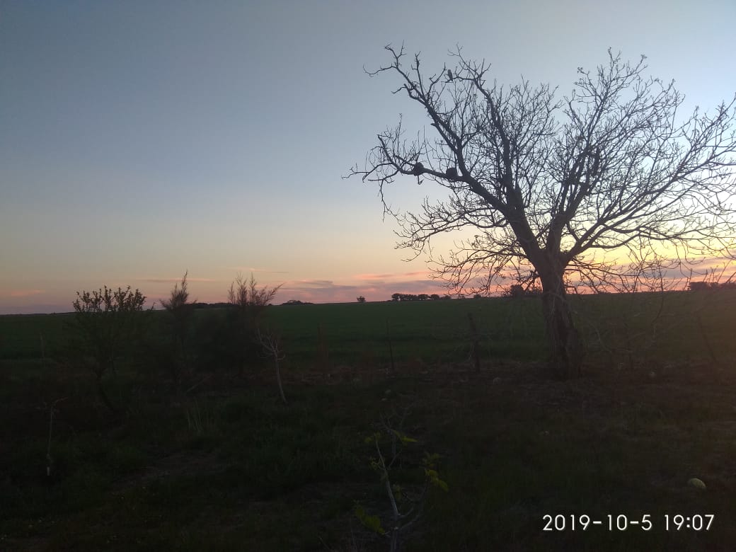 WhatsApp Image 2019-10-23 at 1.24.53 PM (2).jpeg