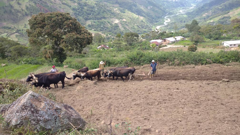 WhatsApp Image 2021-05-23 at 8.51.01 AM (2).jpeg