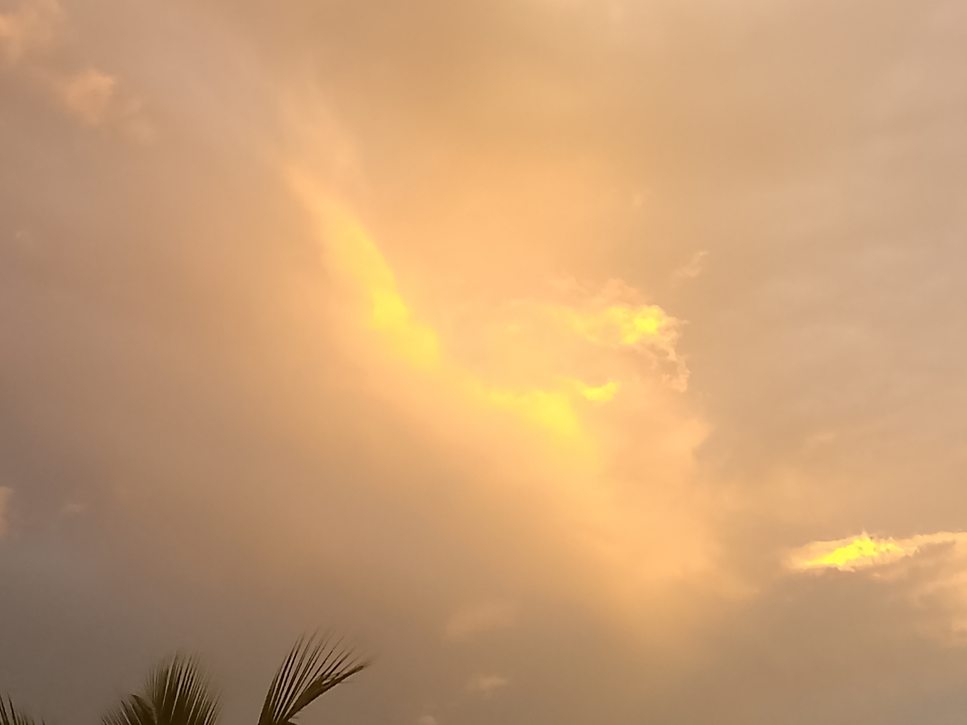 FotoGrid_20260622_205214877.jpg