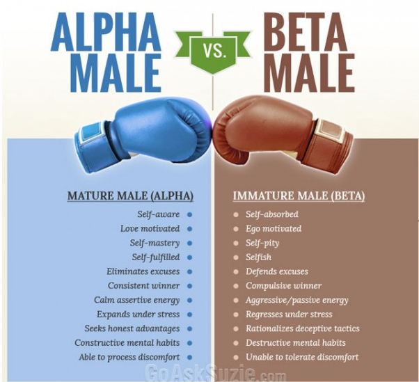 Alpha vs. Beta Male - Steemit.