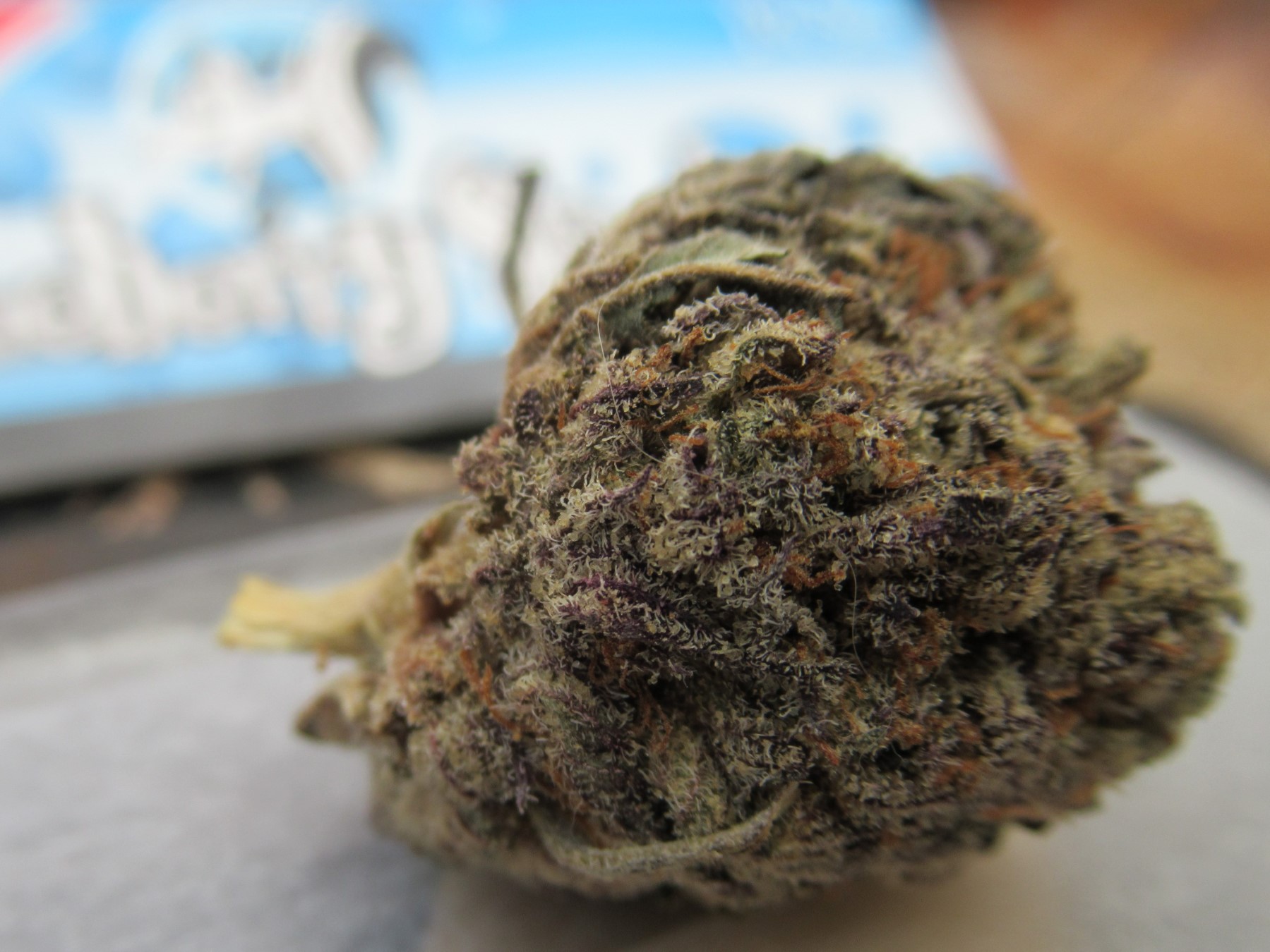 fullnugsidepack.jpg