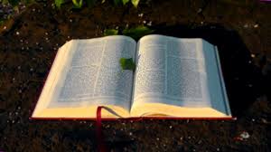 biblia.jpg