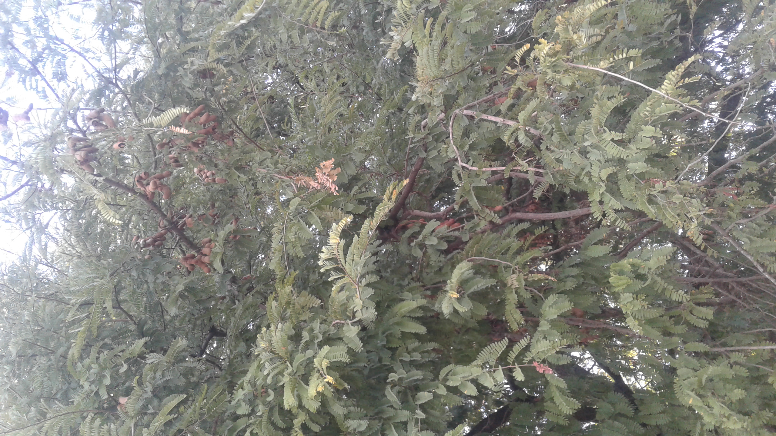 20210524_173807.jpg