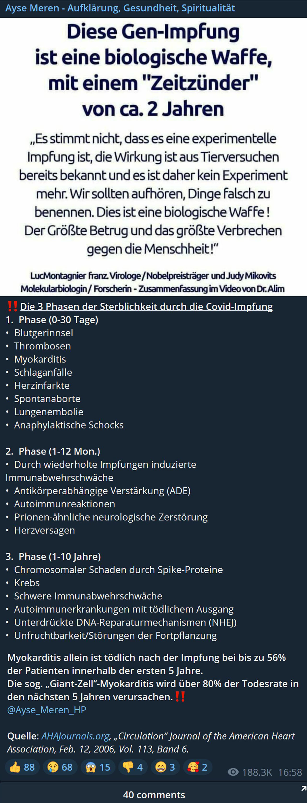 Die 3 Phasen der Sterblichkeit durch die Covid-Impfung.jpg