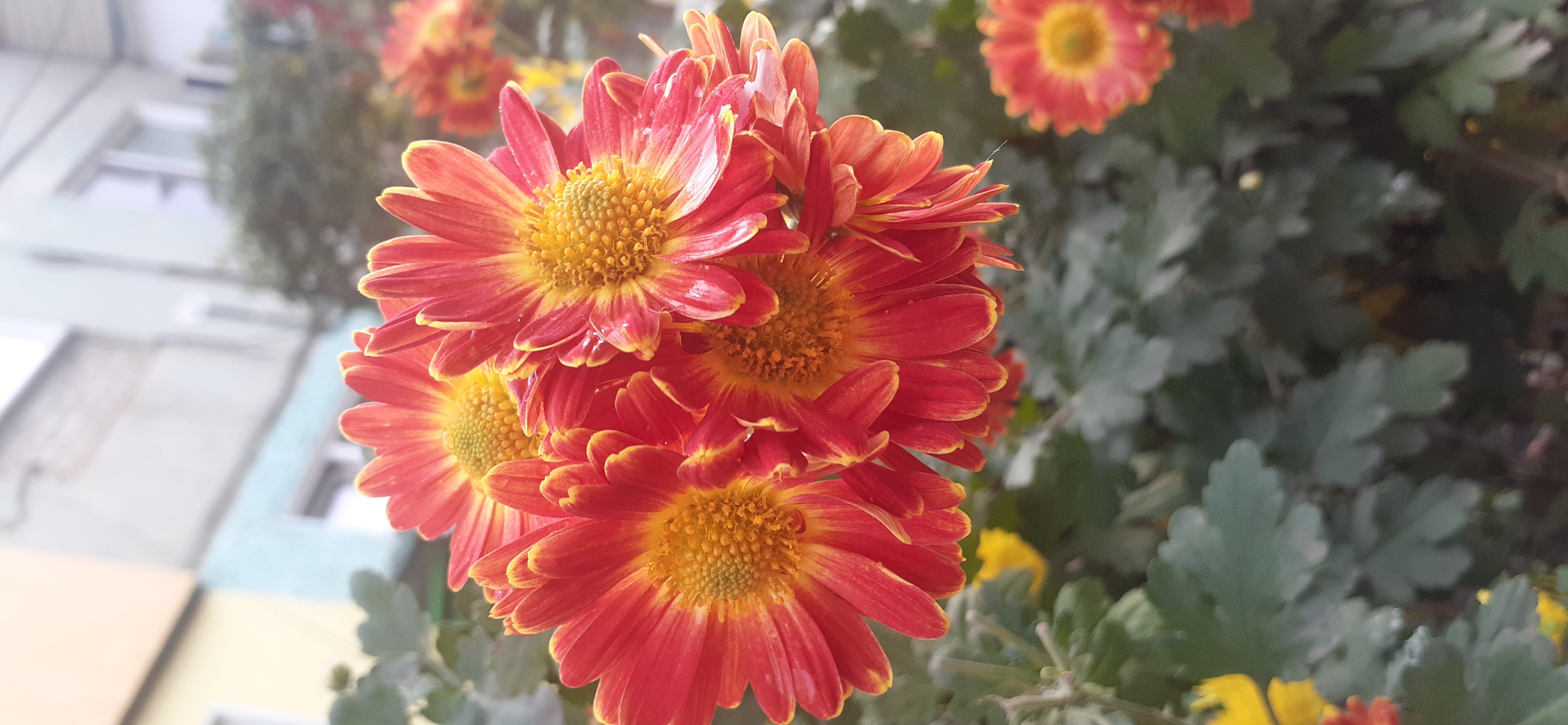 20201104_092849.jpg