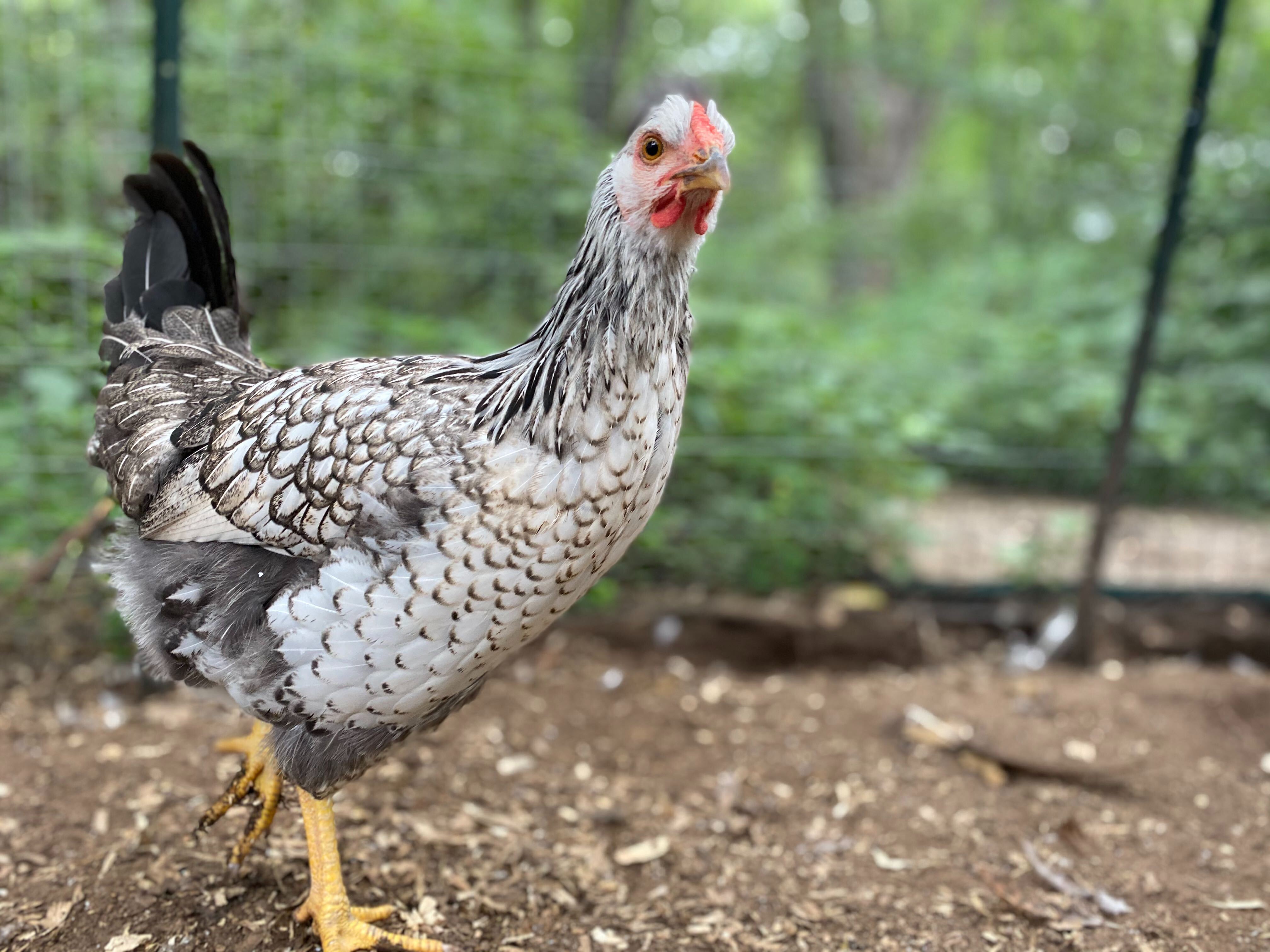 Image from iOS (3).jpg