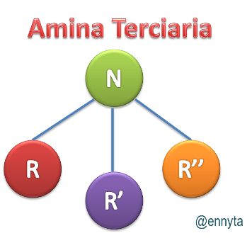 terciaria.png