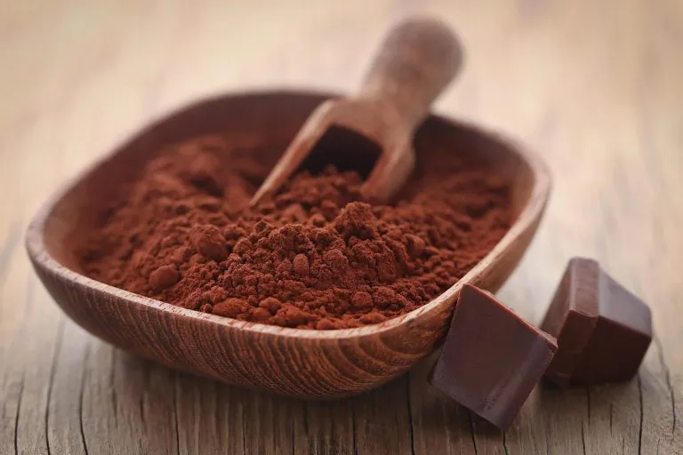 Cacao-Powder-768x512.webp